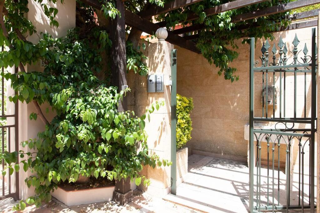 סנט-ג'אן-קאפ-פראט L34 Hermes Suite Terrace Parking Ac 2Mins Sea מראה חיצוני תמונה